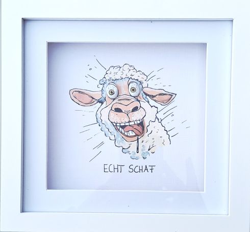 echt schaf